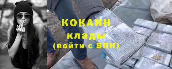 твердый Лиски